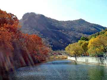 天天彩好彩天天免费，完本都市异能小说